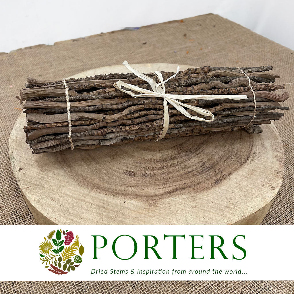 Coco &#39;Finger Runner&#39; (Natural) (DRY) (Various Sizes)