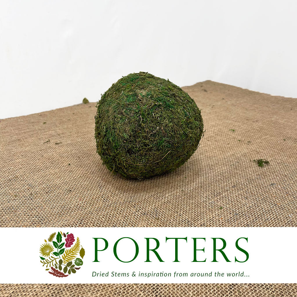 Moss &#39;Balls&#39; (DRY) (Various Sizes)