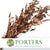 Ruscus 'Trailing' (Preserved & Painted) (DRY) (Various Colours)