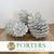 Cones 'Maritima' (Painted & Glittered) 10-14cm (DRY) (x6)