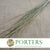 Grass 'Bear Grass' (Natural) (DRY)
