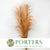 Grass 'Pampas' (Evita) (Various Colours) (DRY) 120cm (x5)