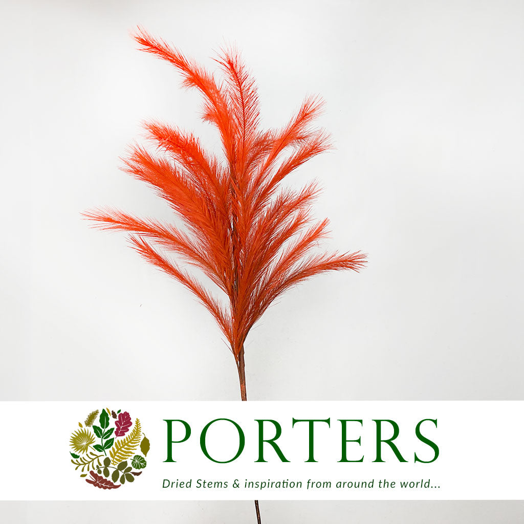 Artificial &#39;Panicle Grass&#39; (Various Colours)