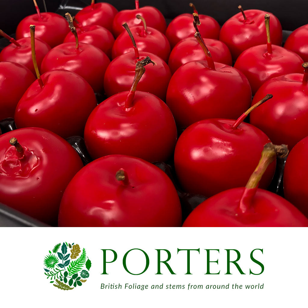 Waxed 'Apples' (Various Colours) Tray (x30)