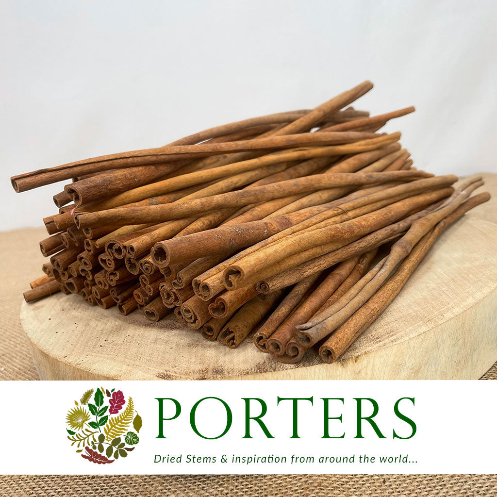 Cinnamon (DRY) (Various Sizes)