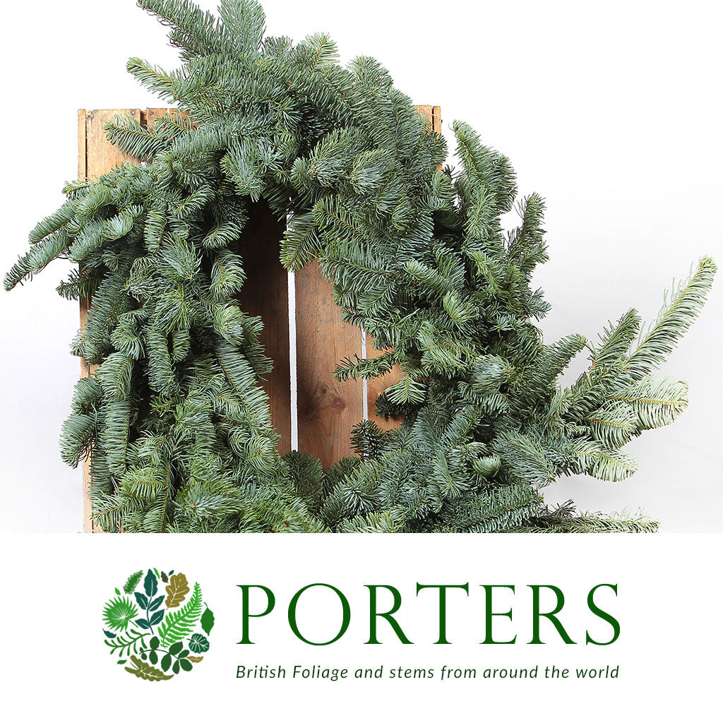 Garland &#39;Blue Pine&#39; (Various Lengths) &#39;Per Foot&#39;