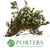 Heather (Erica) 'Four Sisters' (Various Sizes)