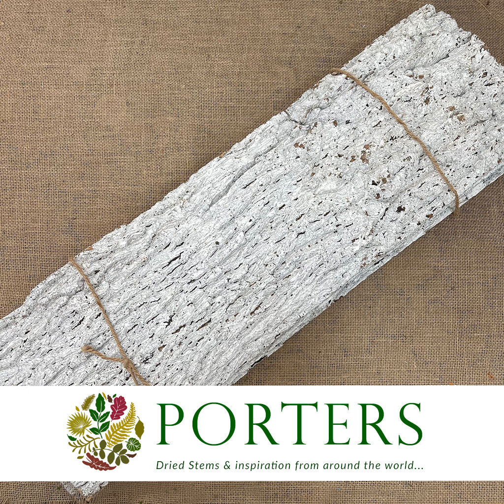 Bark Strips 'Thick' (White Wash) (Various Sizes) (DRY)