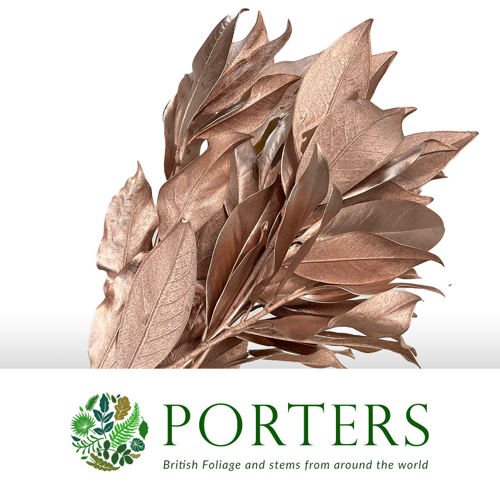 Magnolia 'Foliage' (Painted Metallic) (Various Colours) 80cm (300g)