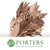 Magnolia 'Foliage' (Painted Metallic) (Various Colours) 80cm (300g)