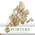 Lunaria (Natural) (DRY) (Various Sizes)