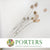 Thistle (Painted) (DRY) (Various Colours)