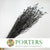 Poppy 'Heads' (Painted) (Small) (DRY) (Various Colours)