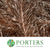 Pine Stems Painted (Various Colours) 'Alaskan Pine' 130-150cm (Per stem)