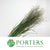 Grass 'Panicum' (Heavy Metal) (Various Lengths)