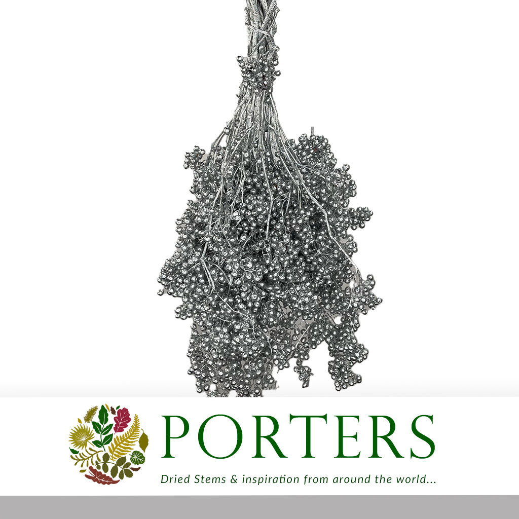 Schinus Molle Fruit (Painted) (DRY) (Various Colours)