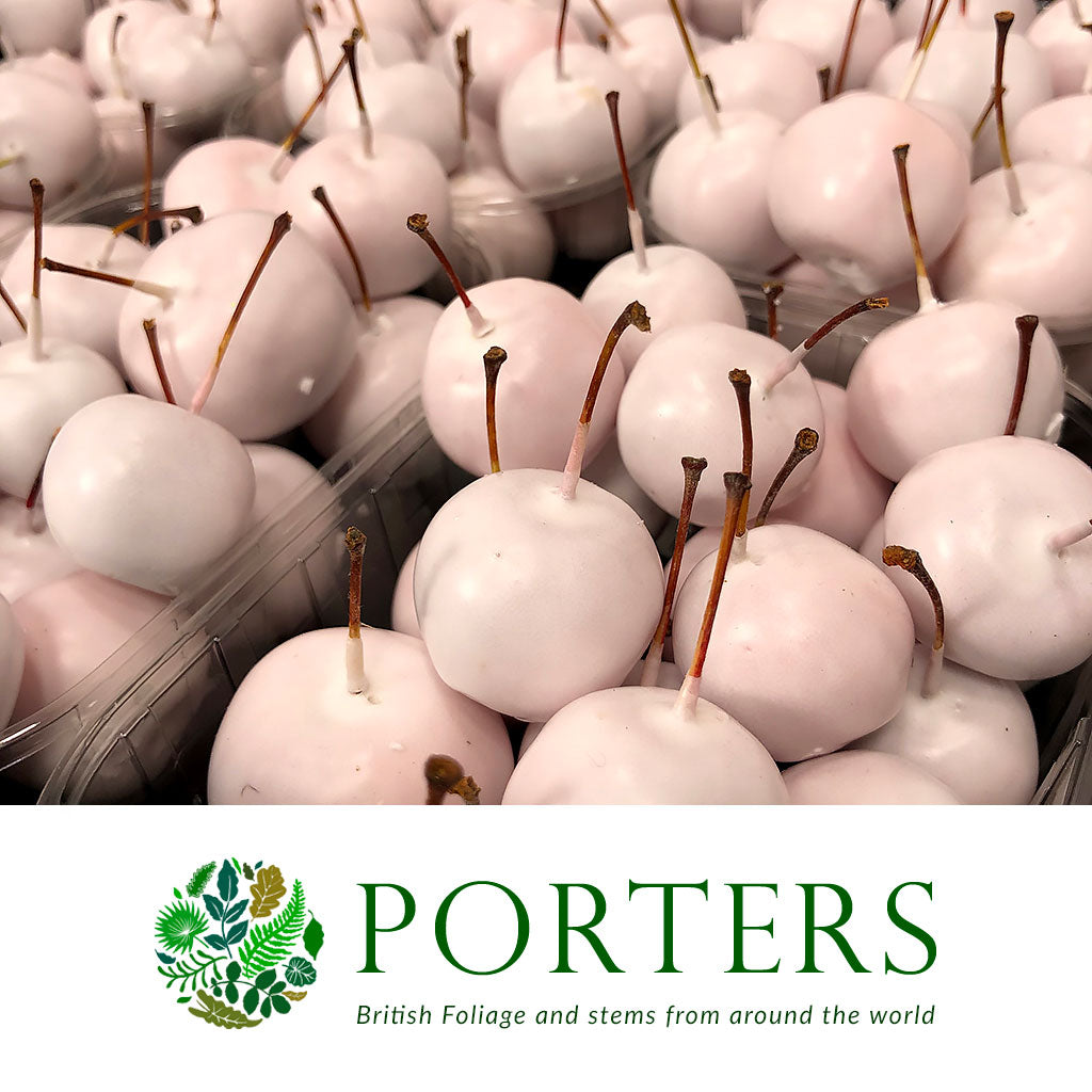 Waxed 'Crab Apples' (Various Colours) 'With and without Glitter' (Small Punnet)