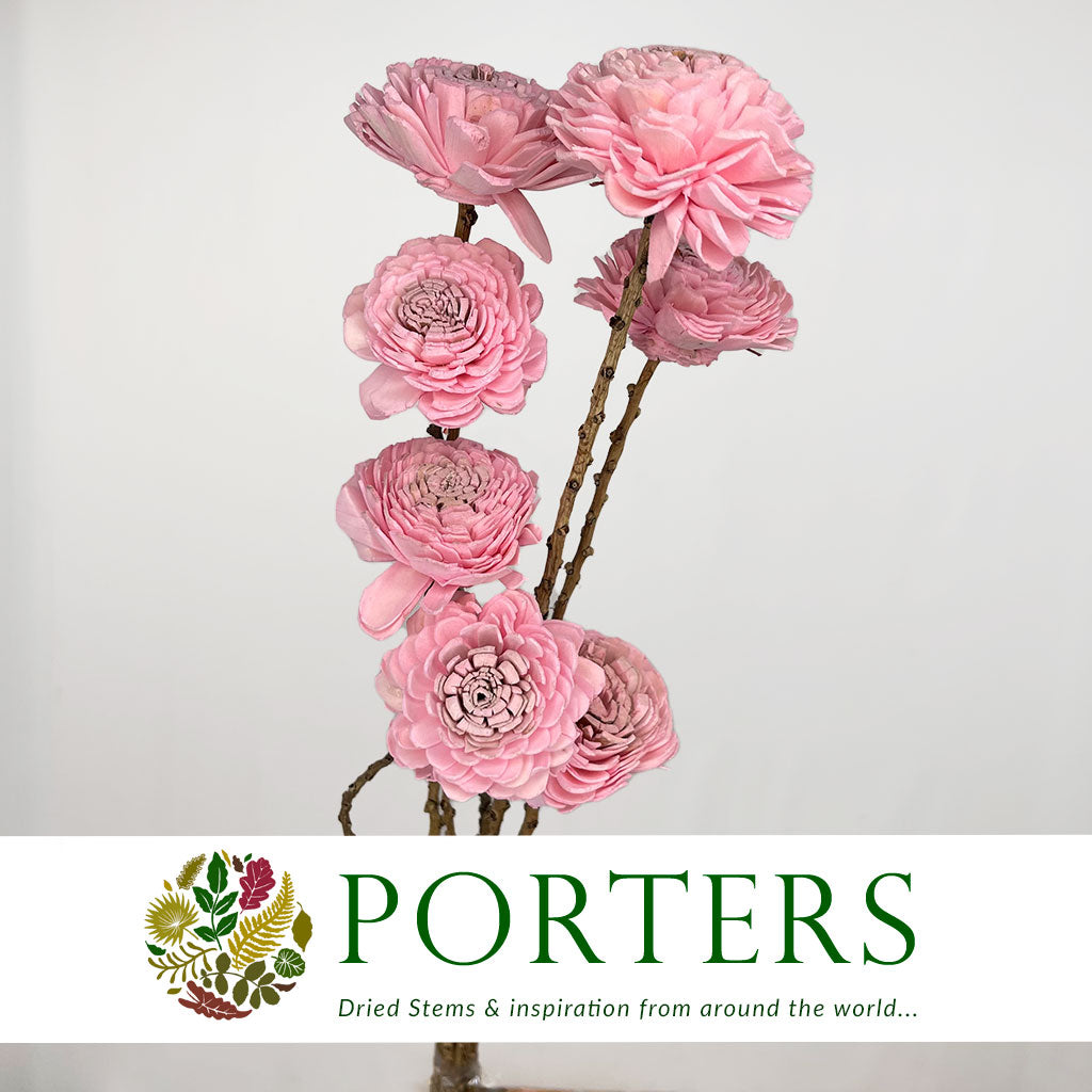 Shola (Man Made) &#39;Ranunculus&#39; (Various Colours) (7pcs) 60cm