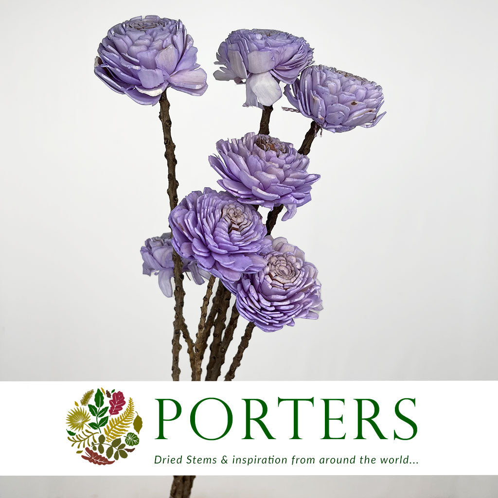 Shola (Man Made) &#39;Ranunculus&#39; (Various Colours) (7pcs) 60cm