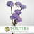 Shola (Man Made) 'Ranunculus' (Various Colours) (7pcs) 60cm
