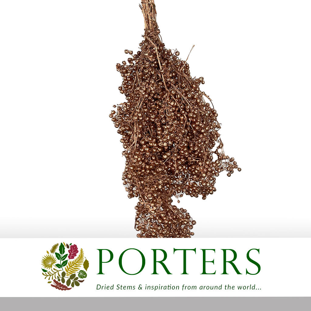 Schinus Molle Fruit (Painted) (DRY) (Various Colours)