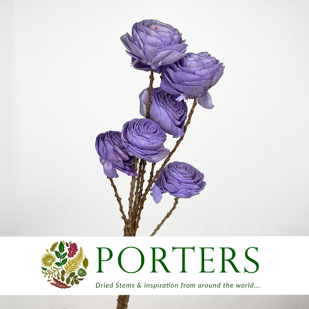 Shola (Man Made) &#39;Ranunculus&#39; (Various Colours) (7pcs) 60cm