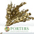 Eucalyptus 'Stuartiana' (Stabilised) (Painted) (DRY) (Various Colours)