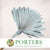 Palm 'Fan Palm' (Painted) (DRY) (Various Colours) (x5) 45-55cm