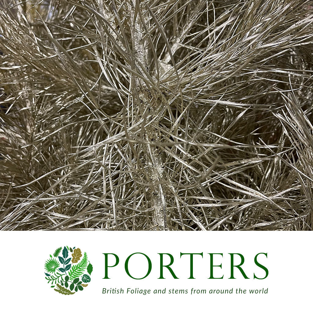 Pine Stems Painted (Various Colours) &#39;Alaskan Pine&#39; 190cm (Per stem)