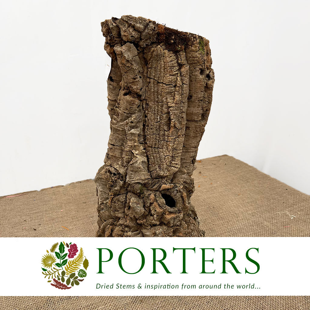 Cork Bark &#39;Pot Planter&#39; (DRY) (Various Sizes)