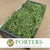 Moss 'Spanish Moss' (DRY) (Various Colours)