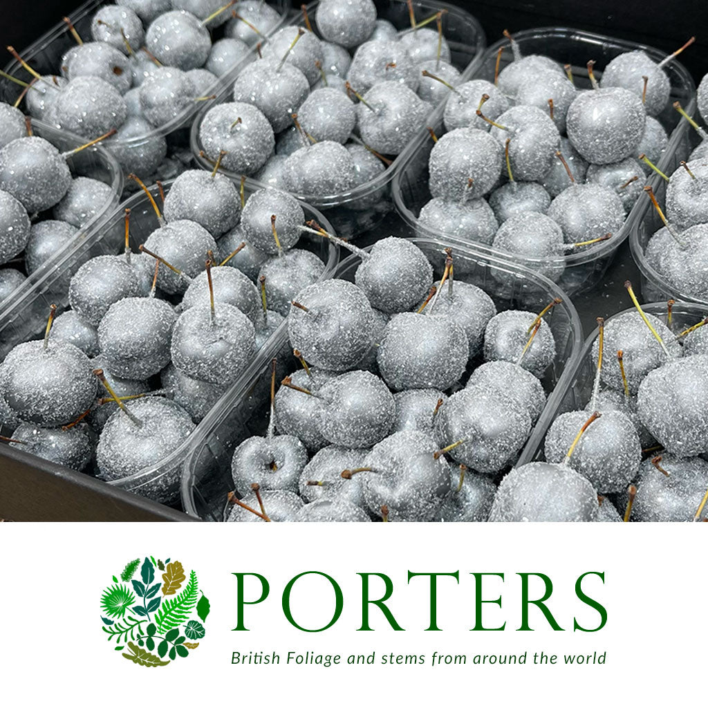 Waxed 'Crab Apples' (Various Colours) 'With and without Glitter' (Small Punnet)