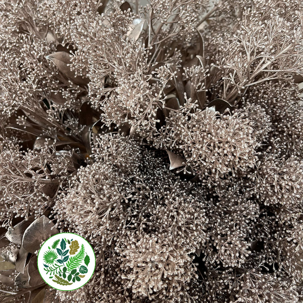 Skimmia (Painted) (Various Colours)