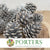 Cones 'Nigra' (Painted) (DRY) (Various Colours)