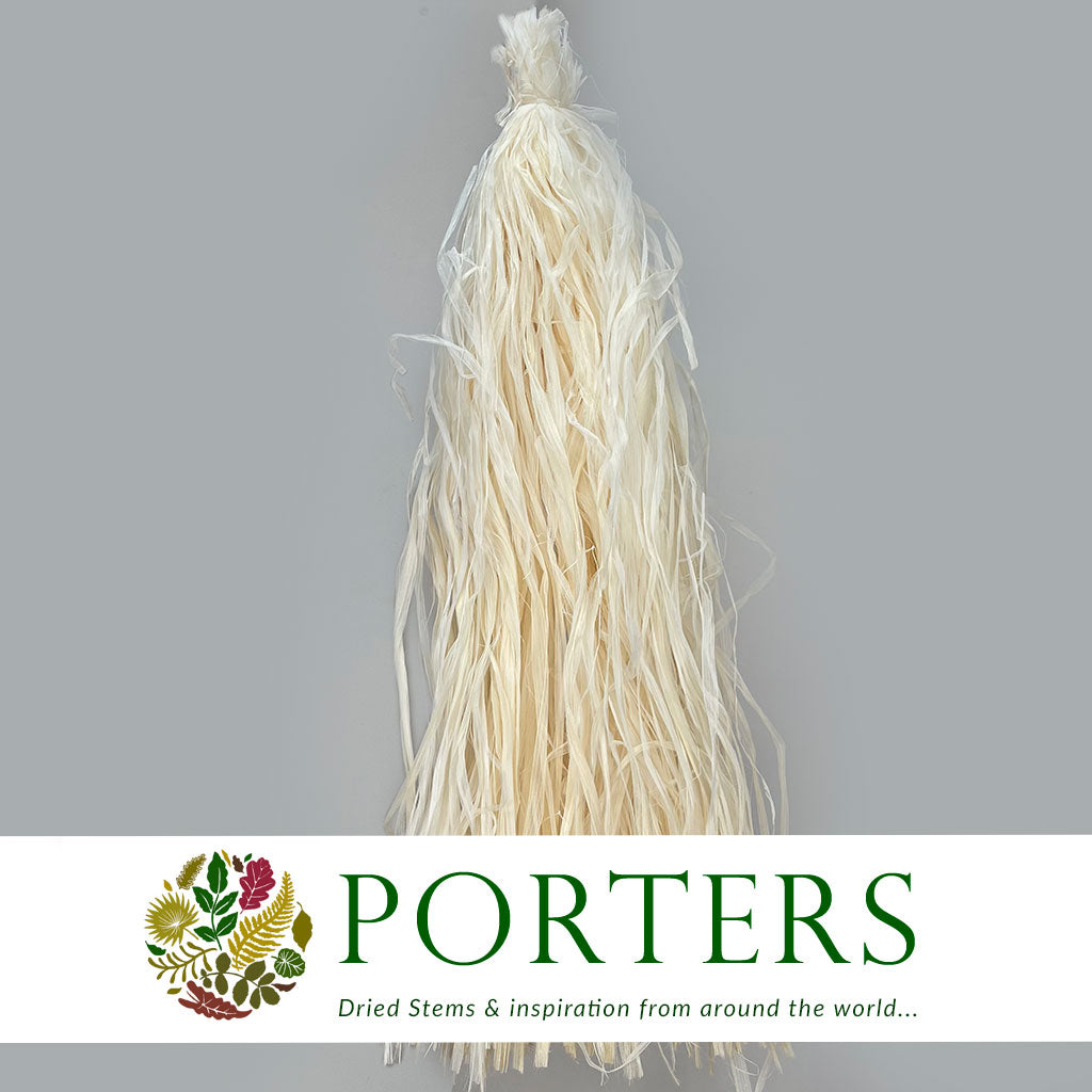 Raffia 'Skeleton' (Bleached)  (Various Sizes)