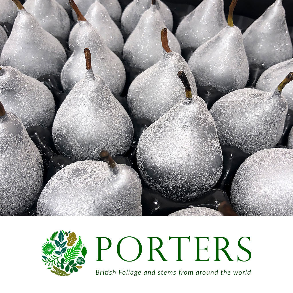 Waxed 'Pears' (Various Colours) 'With and Without Glitter' (x39)