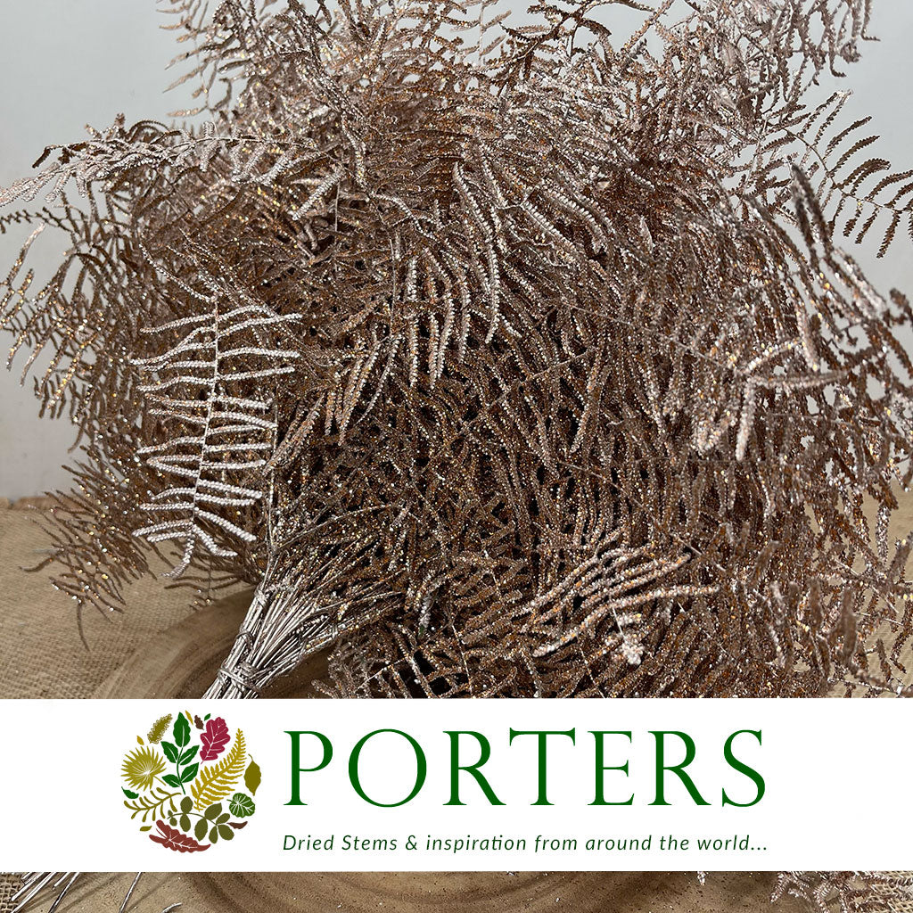 Fern &#39;Coral Fern&#39; (Painted or Glittered) (x10)