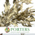 Eucalyptus 'Exotica' (Preserved & Painted) (DRY) (Various Colours)
