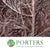 Pine Stems Painted (Various Colours) 'Alaskan Pine' 130-150cm (Per stem)
