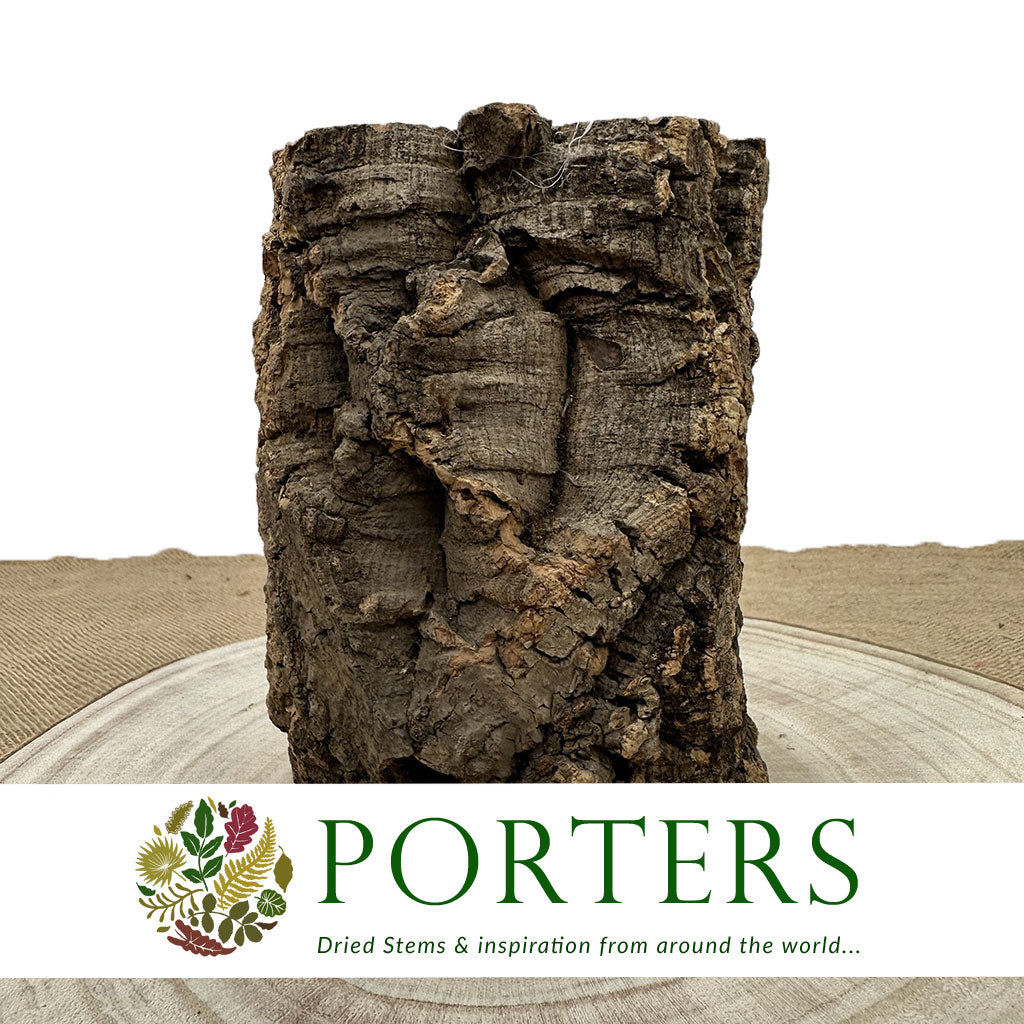 Cork Bark &#39;Pot Planter&#39; (DRY) (Various Sizes)