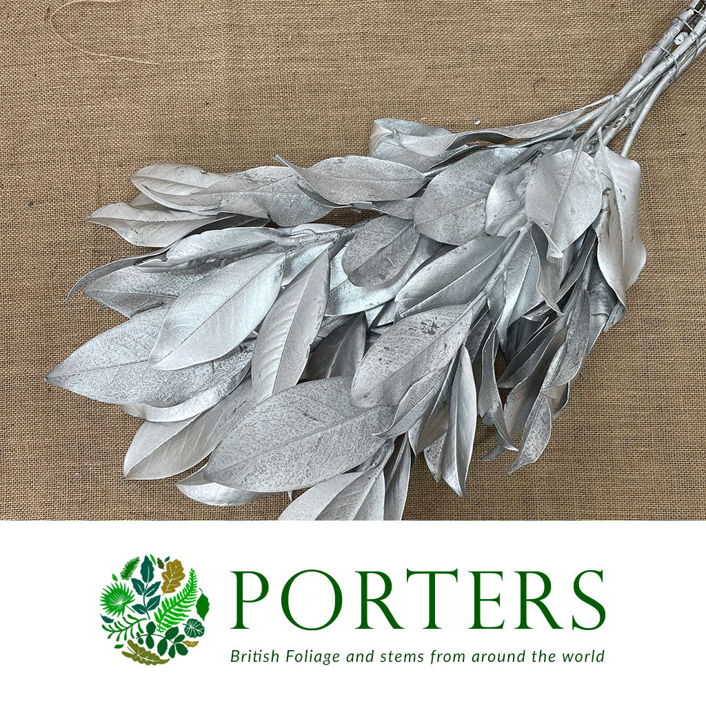 Magnolia &#39;Foliage&#39; (Painted Metallic) (Various Colours) 80cm (300g)