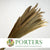 Grass 'Foxtail Grass' (DRY) 75cm