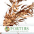 Eucalyptus 'Exotica' (Preserved & Painted) (DRY) (Various Colours)