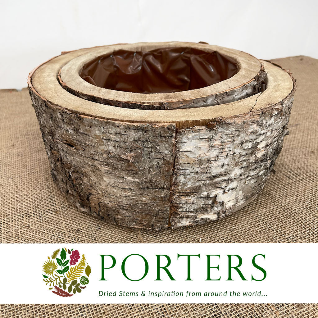 Birch Bark &#39;Planter&#39; Round &#39;Cubra&#39; (Set of 2) (Various Sizes)