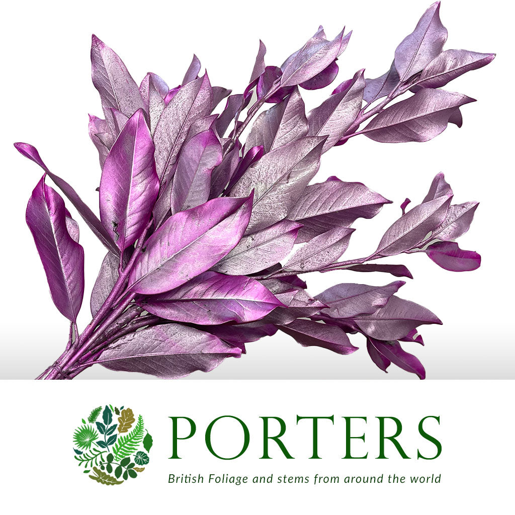 Magnolia &#39;Foliage&#39; (Painted Metallic) (Various Colours) 80cm (300g)