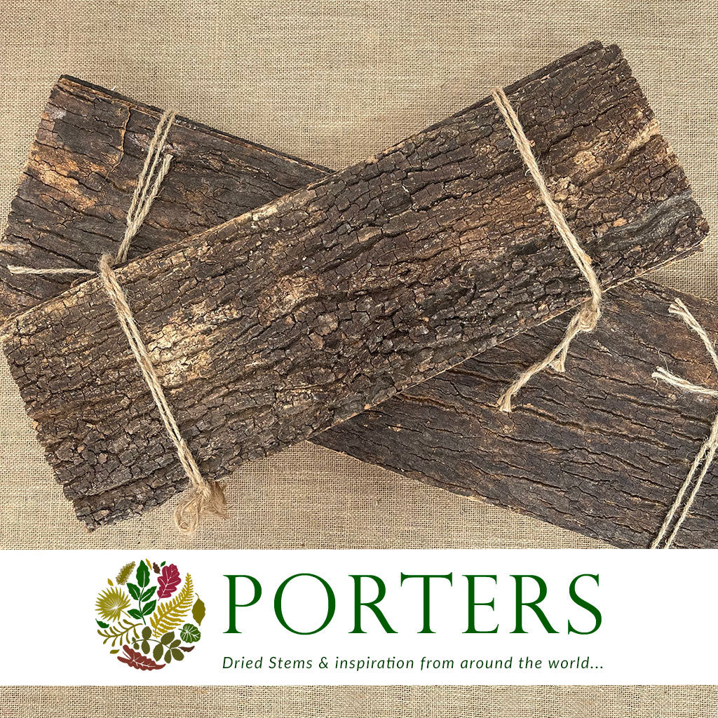 Bark Strips &#39;Thick&#39; (Natural) (Various Sizes) (DRY)