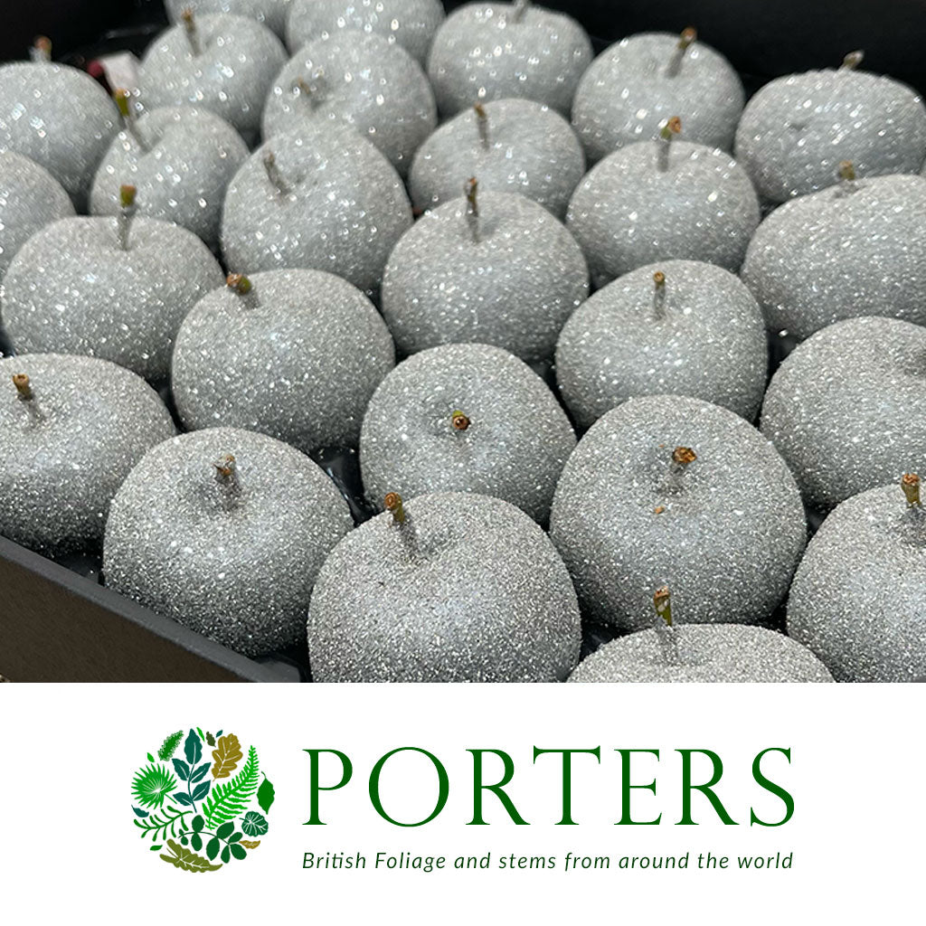 Waxed 'Apples' Glitter (Various Colours) Tray (x30)