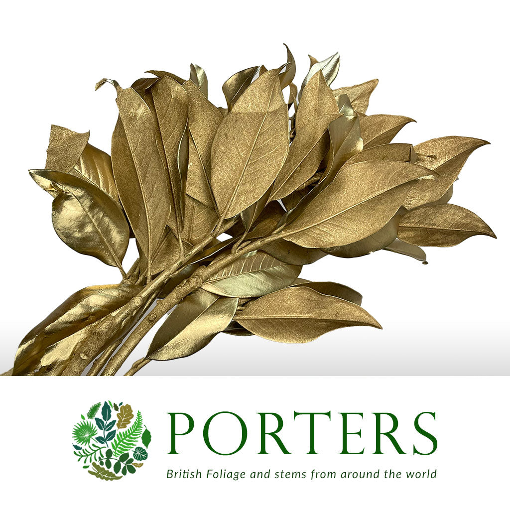 Magnolia &#39;Foliage&#39; (Painted Metallic) (Various Colours) 80cm (300g)