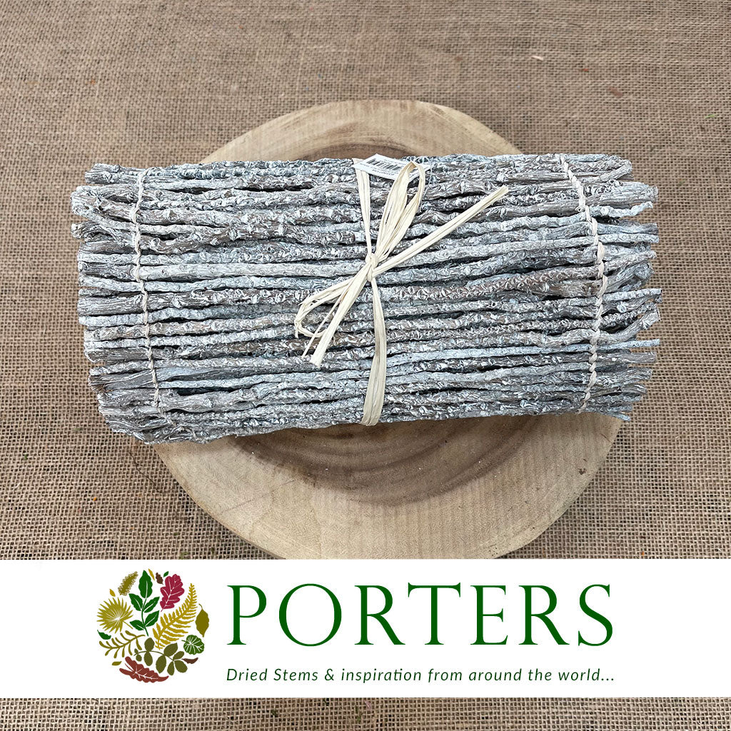 Coco &#39;Finger Runner&#39; (White Wash) (DRY) (Various Sizes)