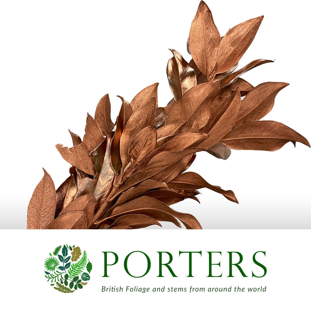Magnolia &#39;Foliage&#39; (Painted Metallic) (Various Colours) 80cm (300g)